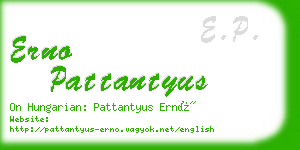 erno pattantyus business card